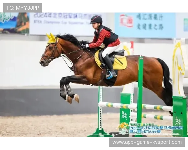 克罗地亚骑手吉塔·日特科维奇在2024年国际马术联合会世界障碍赛中以“Dior”马匹获得第十名，展现坚韧精神。