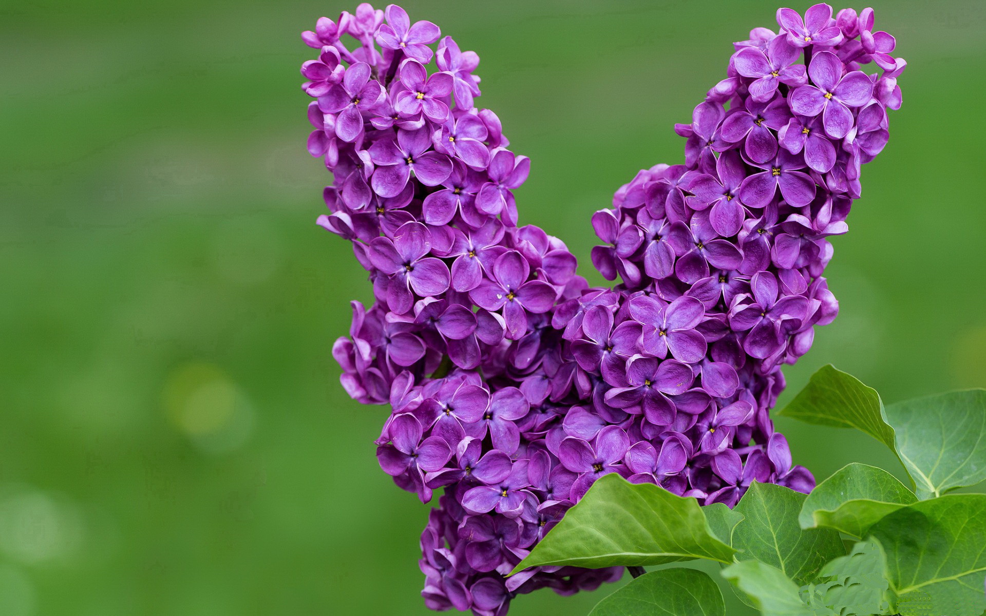 中国足球长期缺乏发展数据研究，中国足球发展的问题及对策