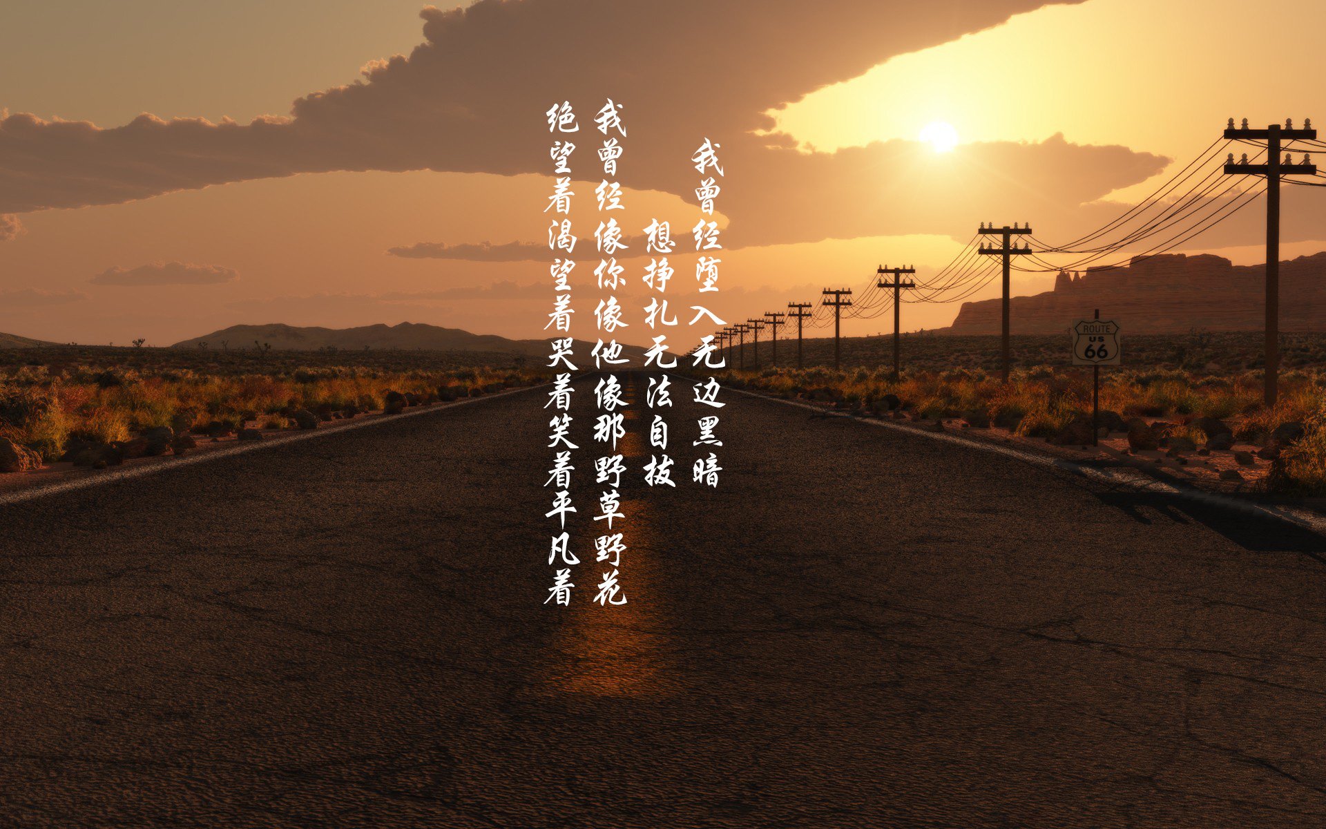 技术数据展示该项目选手潜力巨大,技术展现