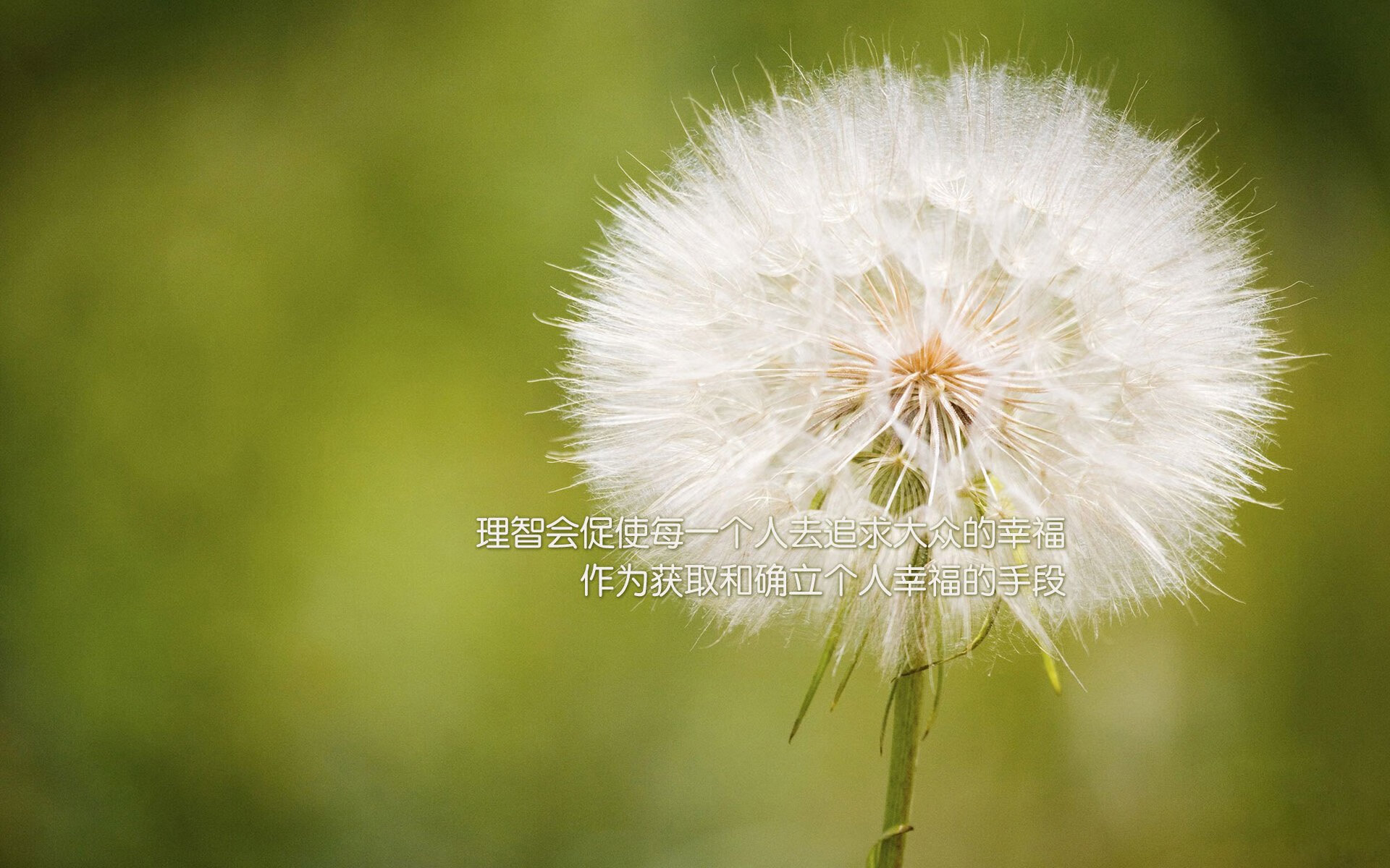 教练激励机制引入数据排名系统,教练kpi