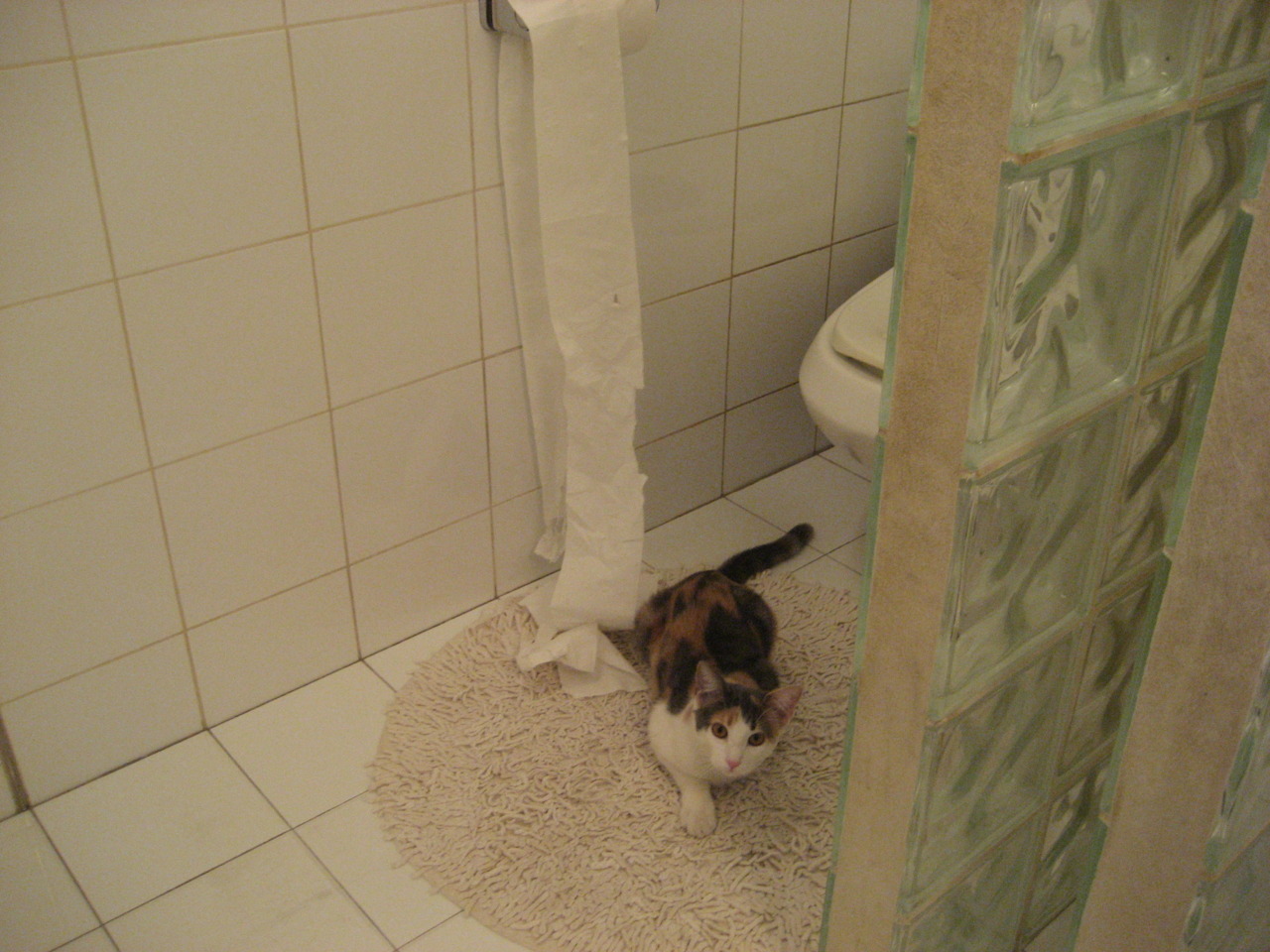 中国排球协会确认新赛季女排超级联赛名单，2021～2022国内女排超级联赛