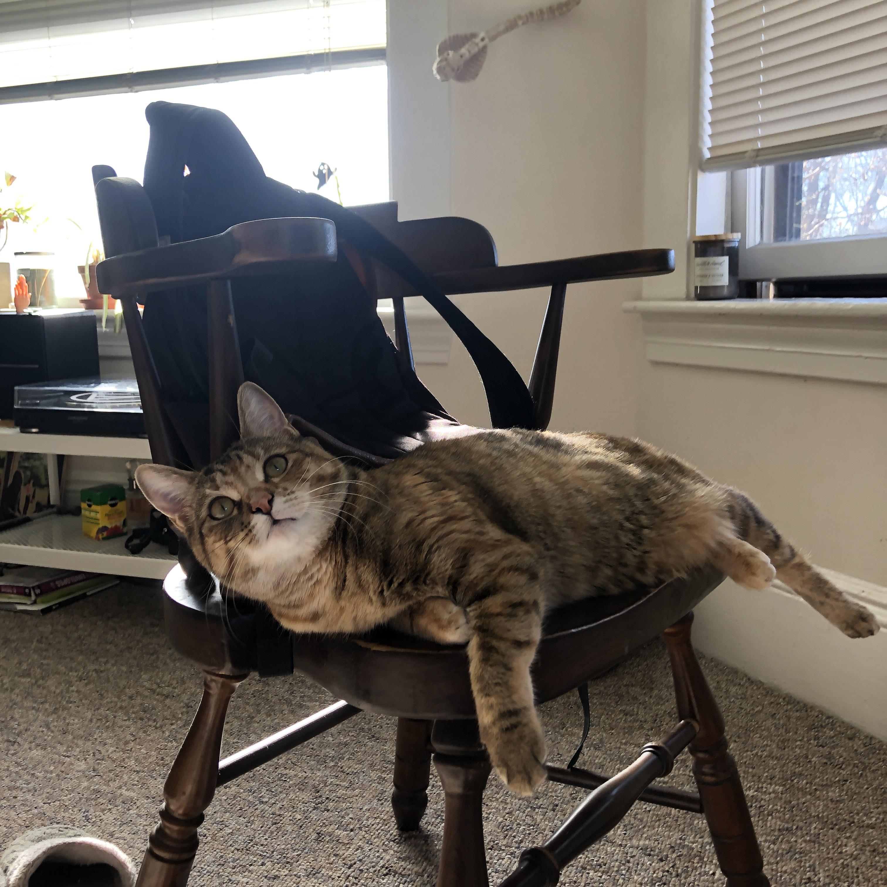 中国足球联赛加强赛场秩序管理和安全保障，足球联赛比赛秩序册