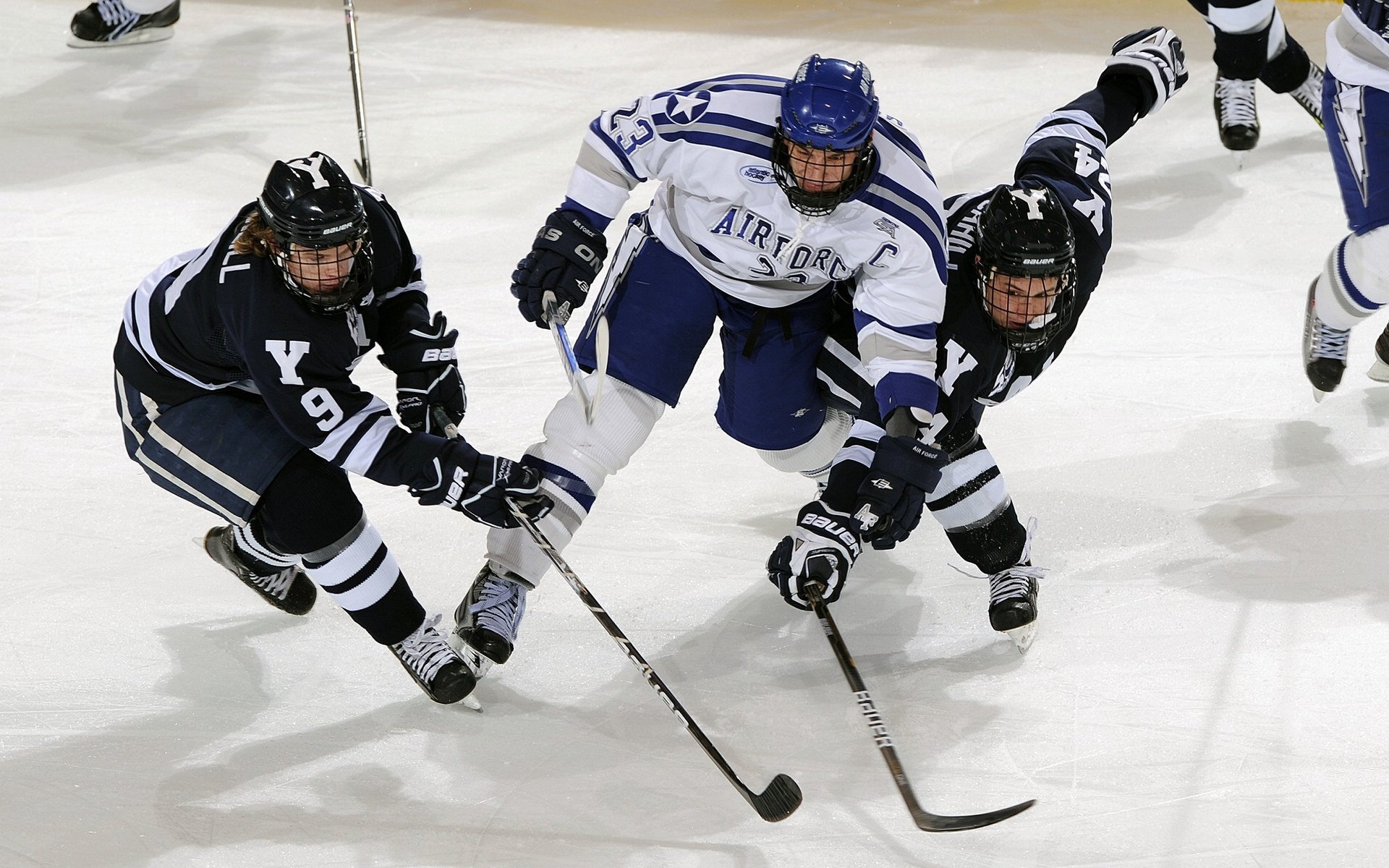 中国马拉松锦标赛杭州站，阳光照耀下赛道显现无限魅力，杭州马拉松冠军